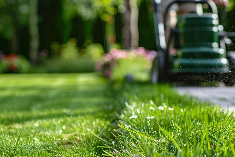 best electric mower for small yard